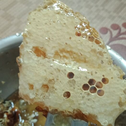 泰和县野生蜂蜜 野生树洞蜜，石洞蜜，土洞蜜