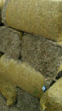 喀喇沁旗牧草 出售压块谷草