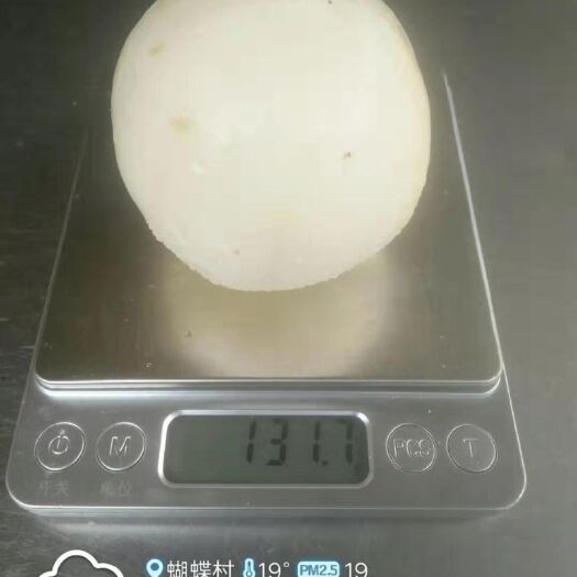 石林县 云南石林人参果（圆果）
