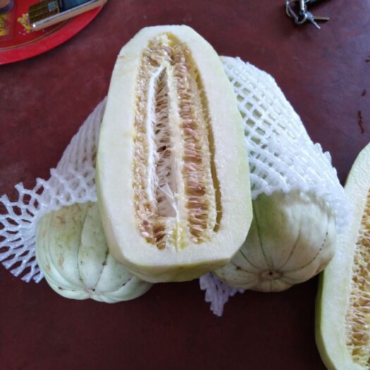 大荔县高石脆瓜 全国，少见的来，高石小瓜，脆的很，甜的可口，黄贡专用。