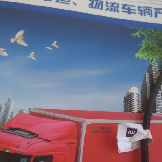 陇县杏核 一手货源价格可商