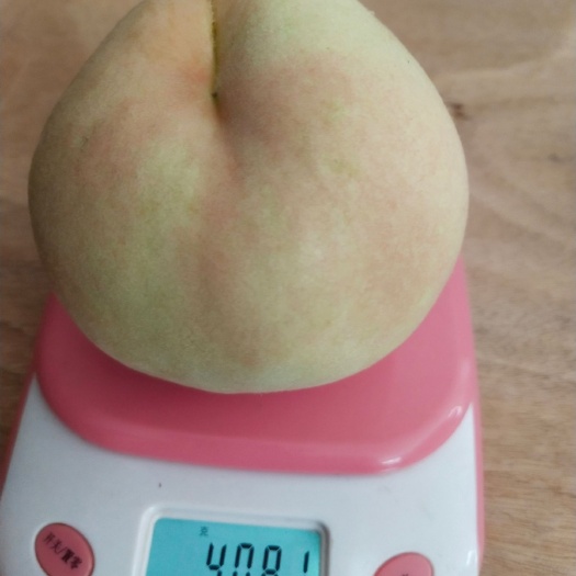 无锡 无锡阳山水蜜桃8个装顺丰配送
