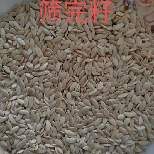 寧安市黃瓜籽粉 2018年水洗黃瓜籽