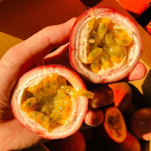 昆明 [新鲜]广西百香果中果5斤装37个左右西番莲鸡蛋果水果