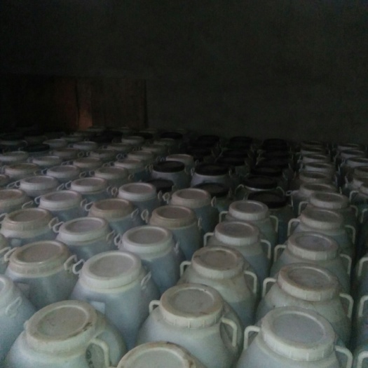 新乐市 大量纯正蜂蜜，常年有货
