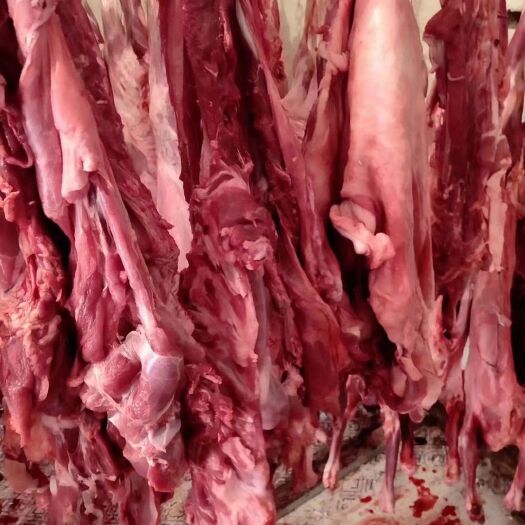 阳信县 板冻羊肉