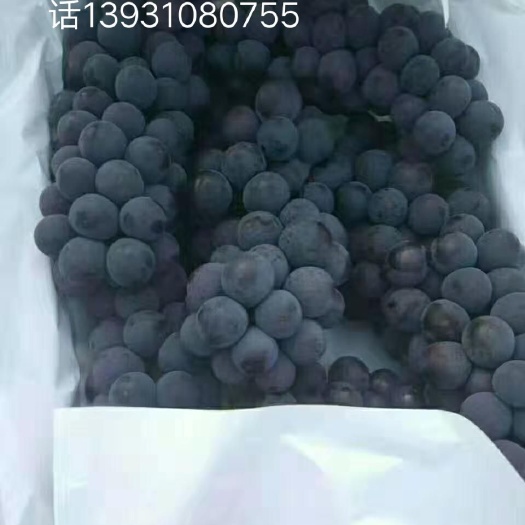 邯郸京亚葡萄