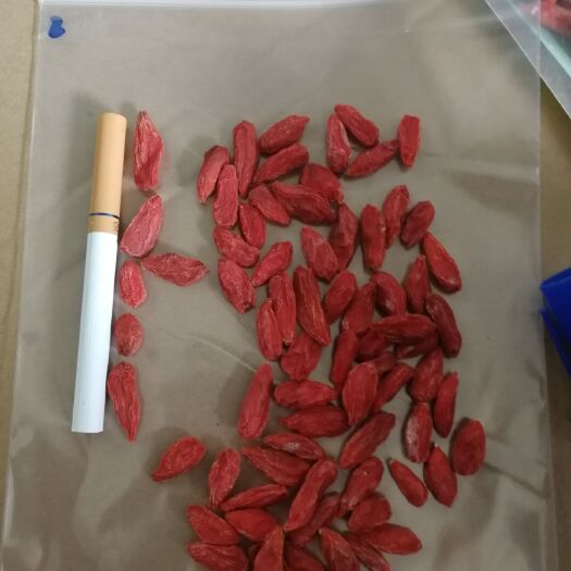 中宁县红枸杞  2023年宁夏中宁枸杞头茬量大从优