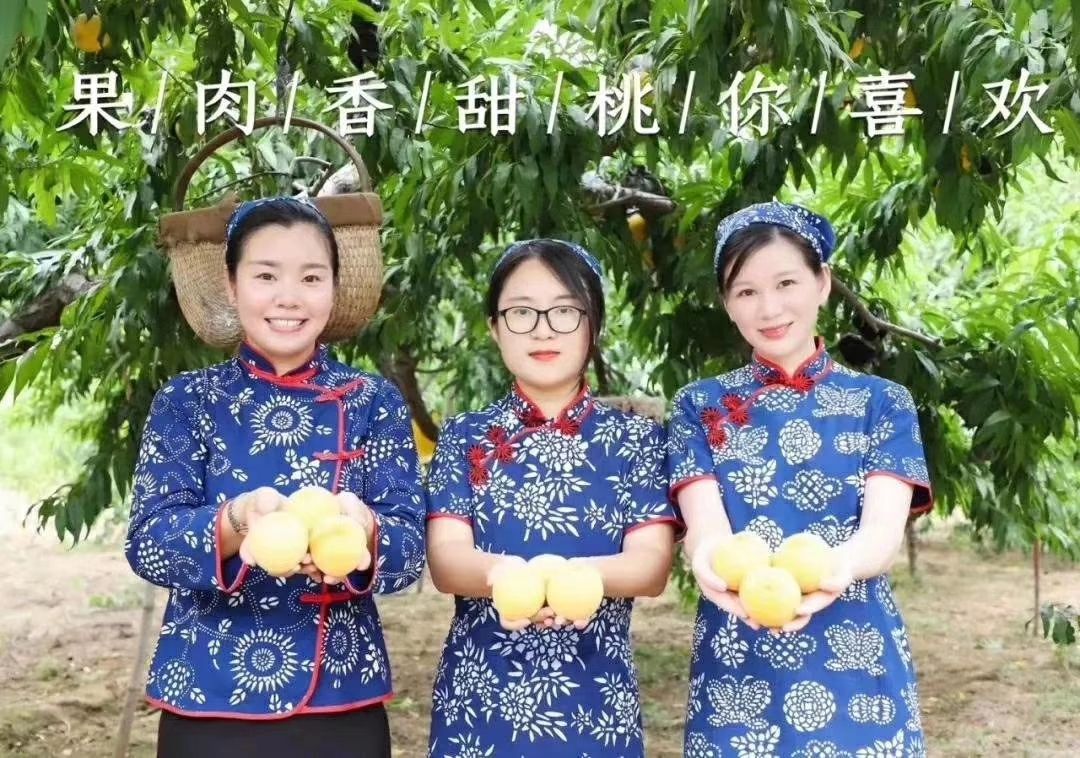  安徽砀山黄桃
