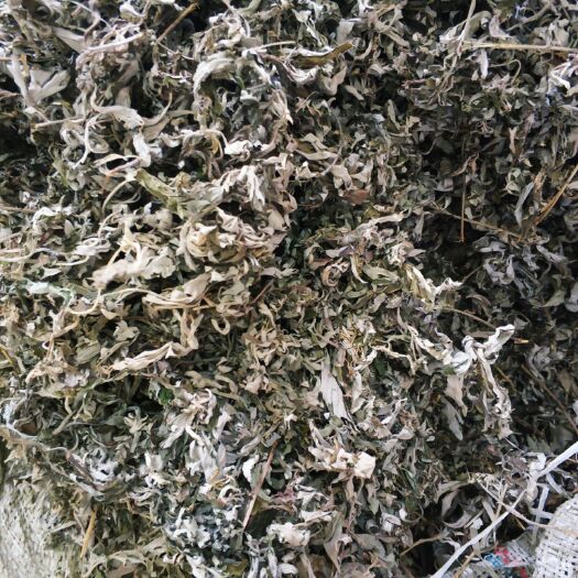 乾县 端午艾叶，手工捋叶，诚信经营，品质优良