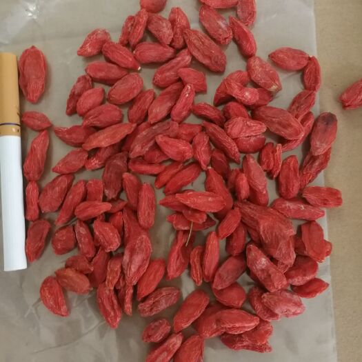 中宁县红枸杞  2021中宁头茬，可零售，批发量大从优