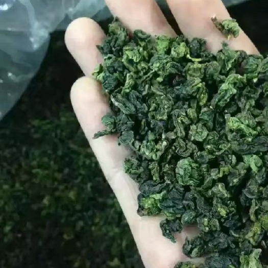 厦门铁观音 茶农直销