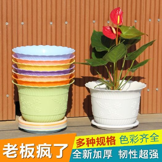 无锡 莲花盆 波浪花边塑料盆 pp树脂花盆 阳台绿植多肉盆厂家直销