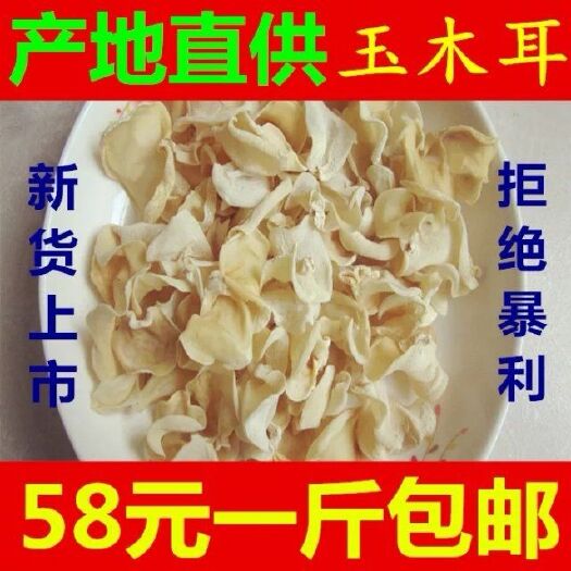 拜泉县 玉木耳