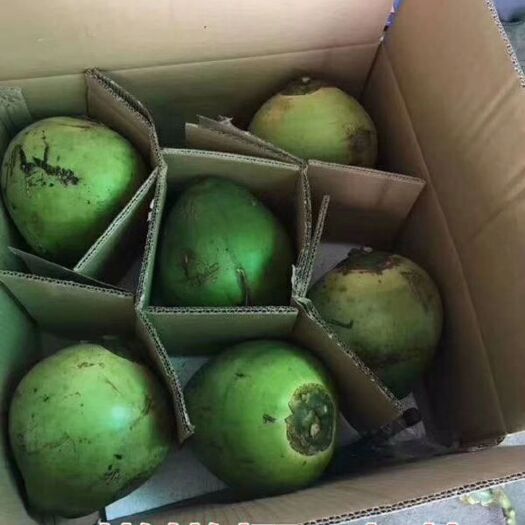 文昌市 自己工厂批发椰子种类齐全 可以进厂选购