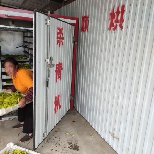 扬州 小黄花菜干品隆重上市