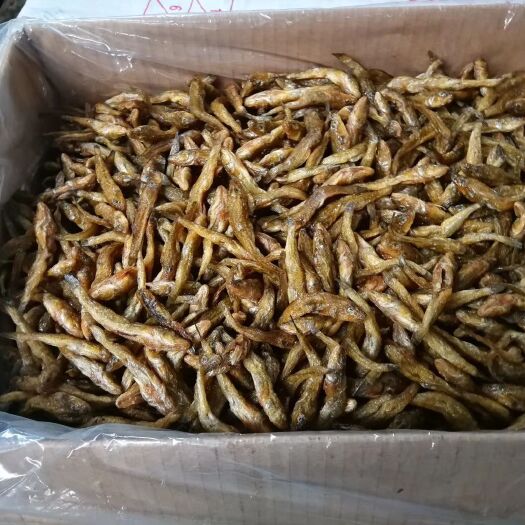 上饶针贡鱼干 小黄鱼干。