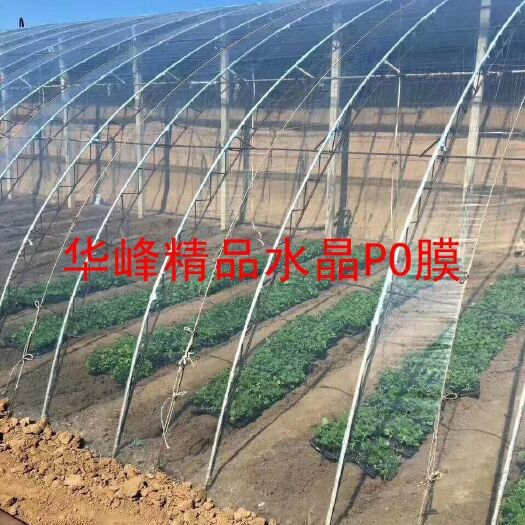 棚膜 华峰精品水晶PO膜