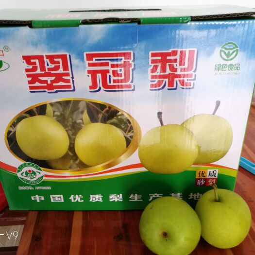 钟祥市 湖北砂梨上市中需要的联系我