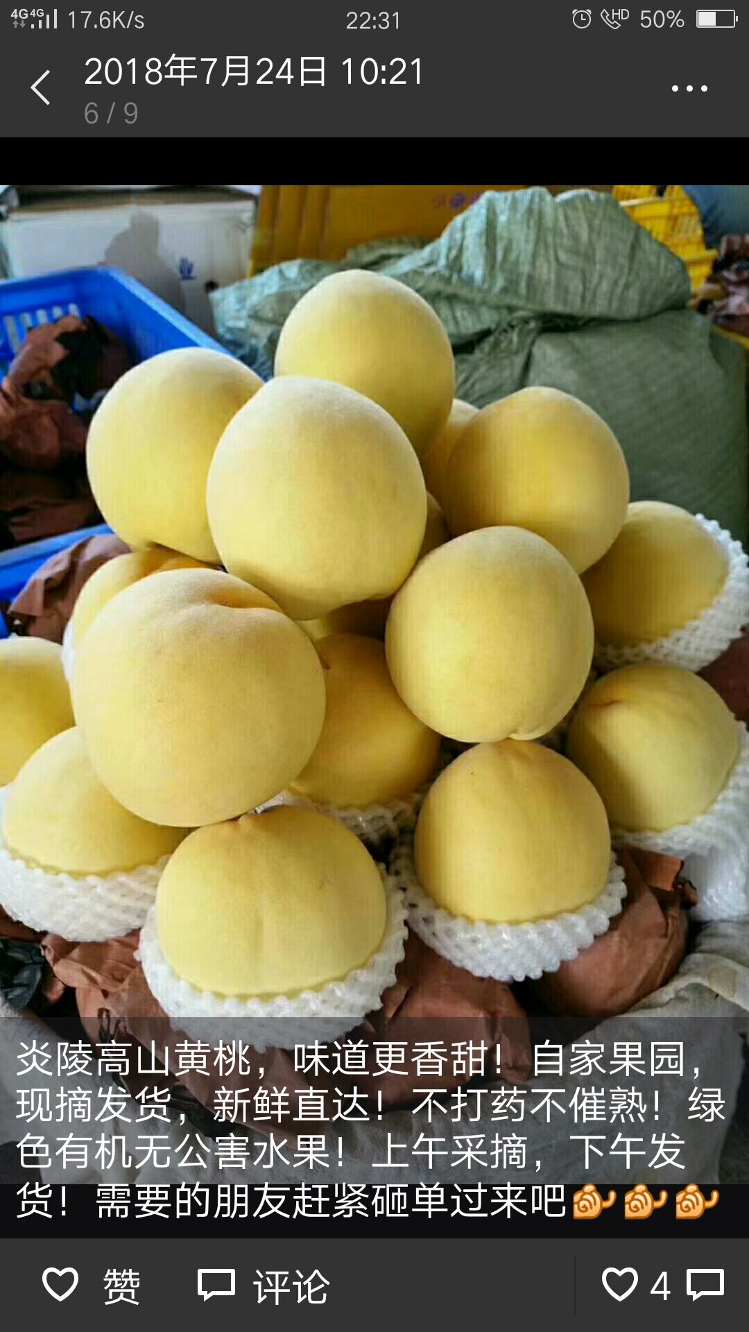  这个夏天我最想吃的炎陵黄桃
