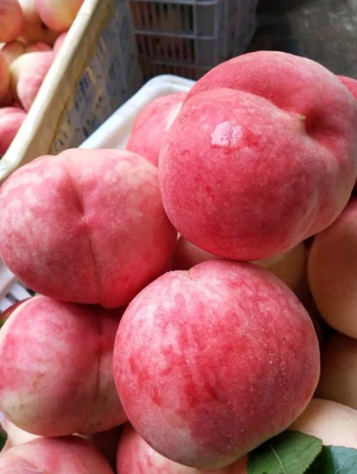  水蜜桃，味道好极了