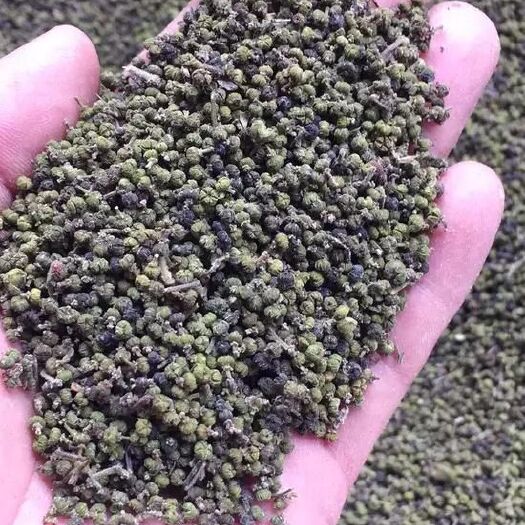 建德市 中药材吴茱萸