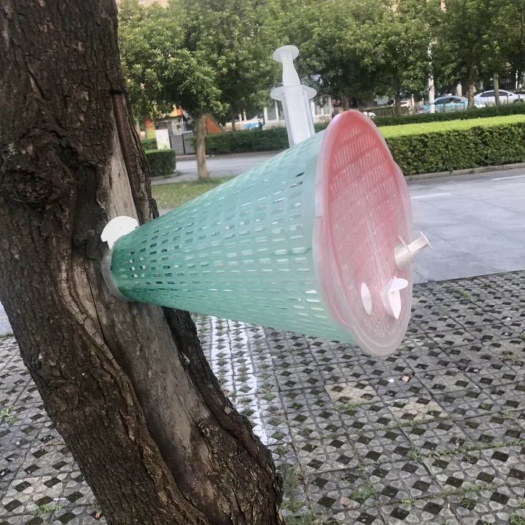 犍为县塑料盆 红娘黄脚专用活动区，养蜂！