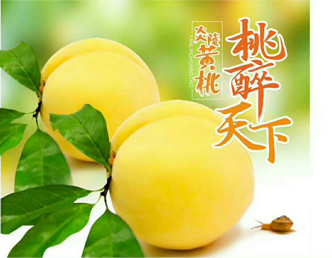  这个夏天我最想吃的炎陵黄桃