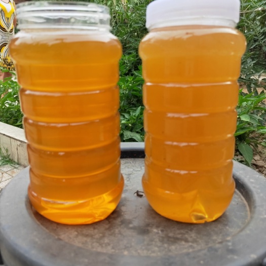 临城县 天然蜂蜜
