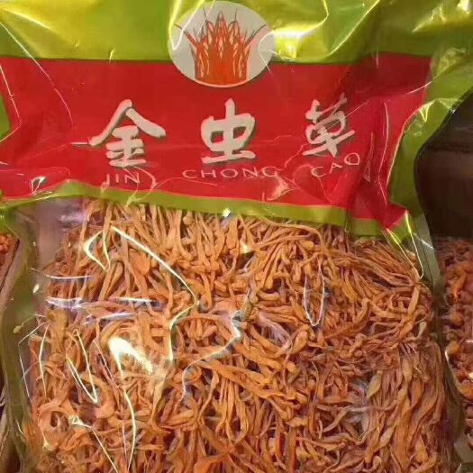 安国市 【买好药进】中药材虫草花 金虫草 蛹虫草 金虫草多少钱一斤