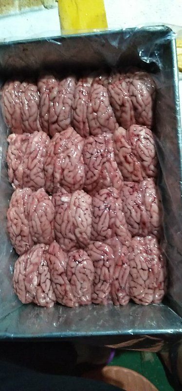 广州猪脑花