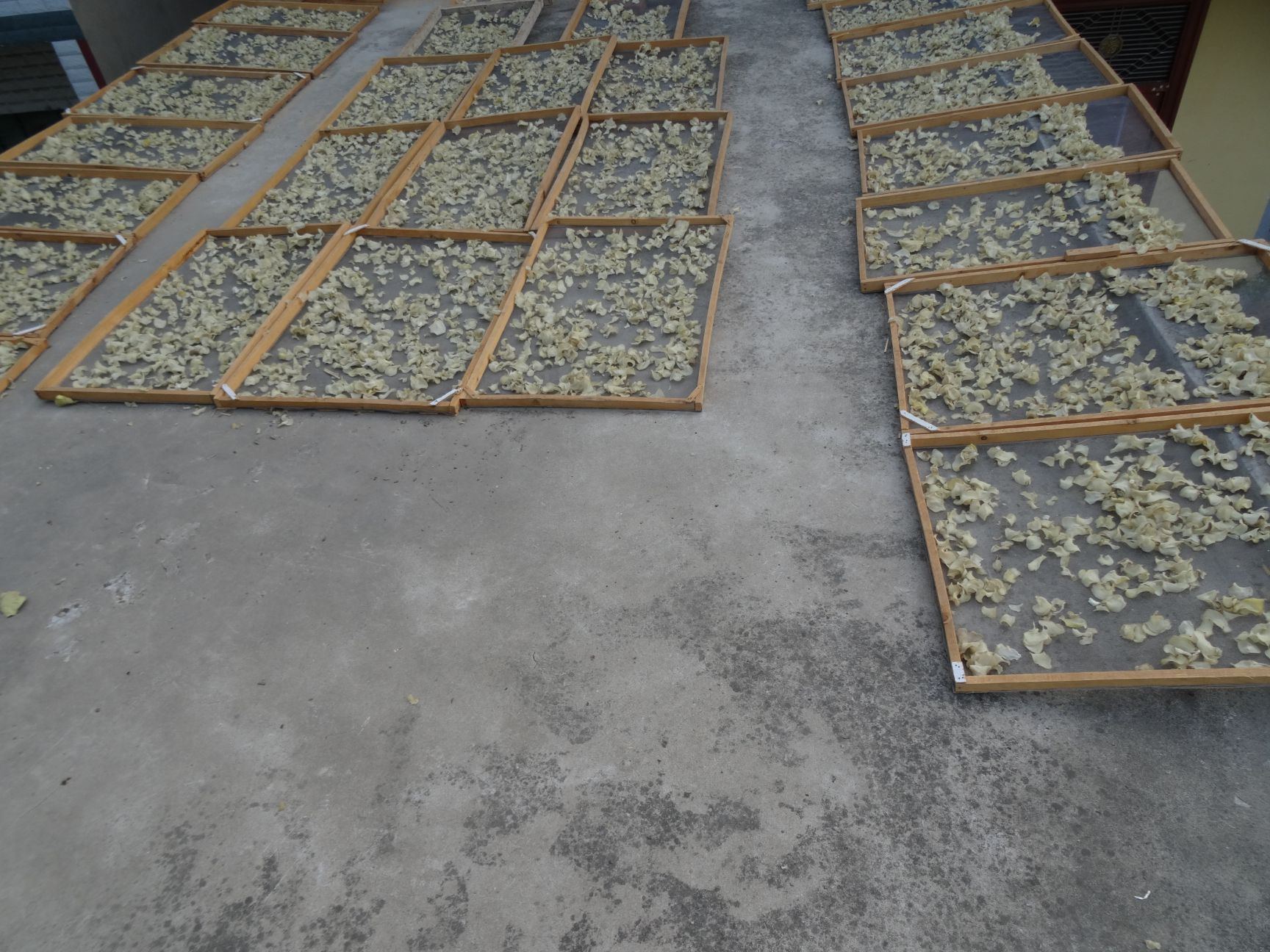 干土豆  21年新土豆干片洋芋片马铃薯干片
