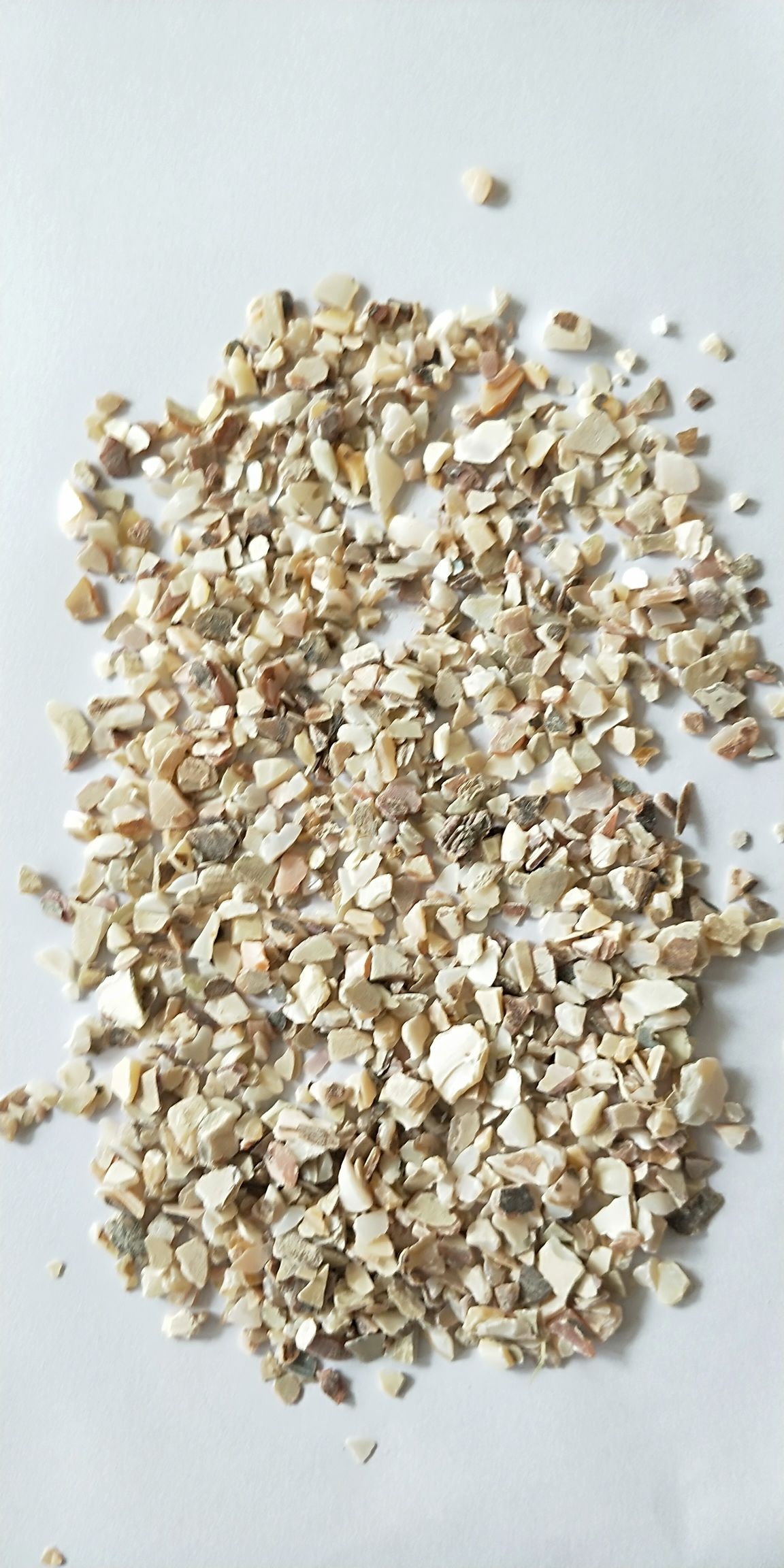 贝壳粉  水洗珍珠贝颗粒