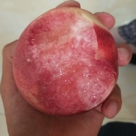 泗水县美国大红蟠 自家种的桃，物美价廉，一箱五斤重，个大饱满，物美价廉