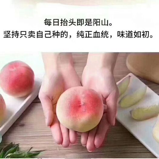 无锡 正宗无锡阳山水蜜桃5两至10两的水蜜桃