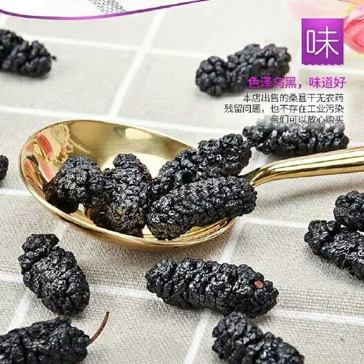 泊头市天然桑葚干大量批发