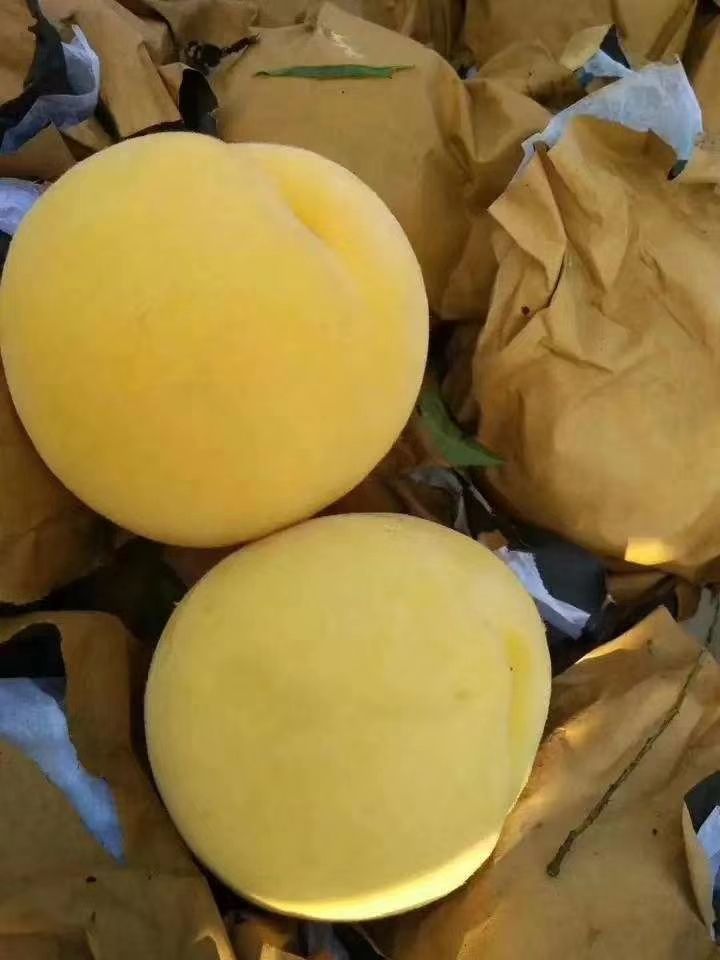 锦香黄金蜜桃
