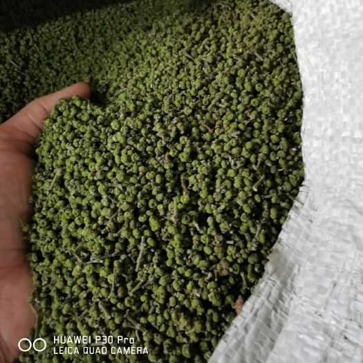 河池 江西中花吴茱萸干货 鲜货都有，有需要的老板吗