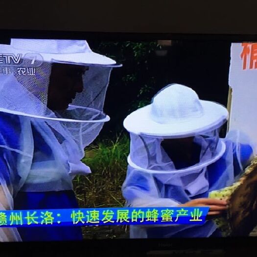 赣州 长洛中蜂百花蜂蜜，专门报道过的蜂蜜