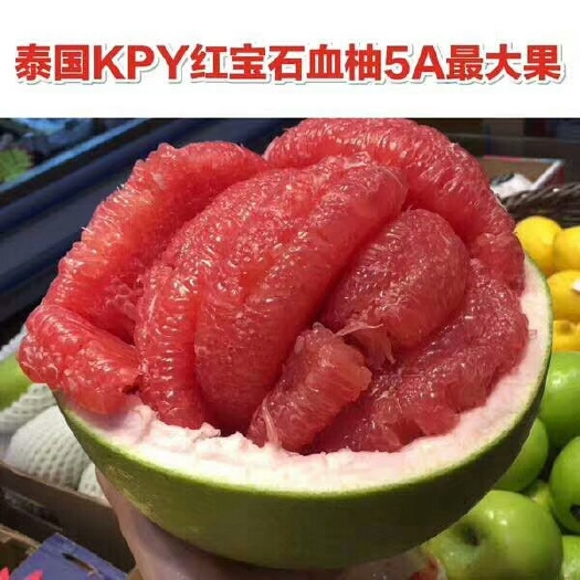 龙州县泰国青柚苗 正宗泰国红宝石柚苗，种植2年结果