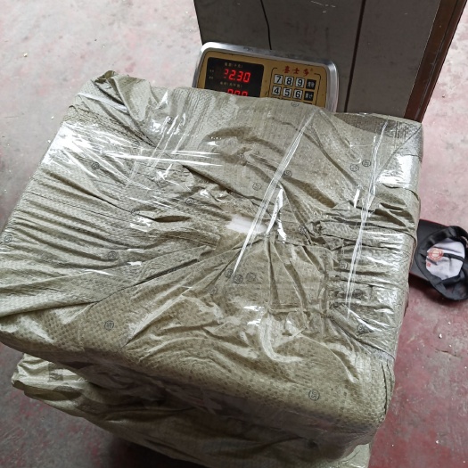 龙山县纽荷尔脐橙枝条 15~20cm