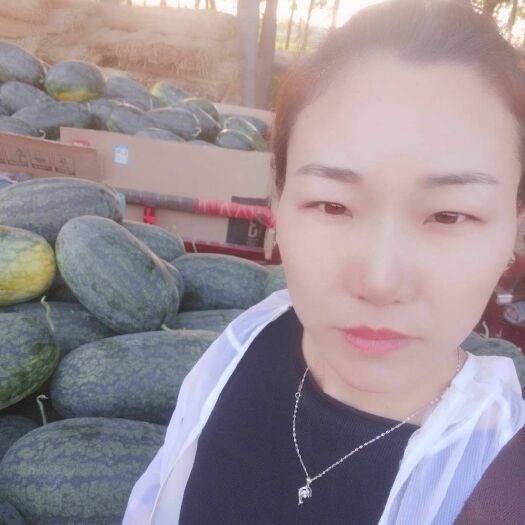 太康县黑美人西瓜 黑美人