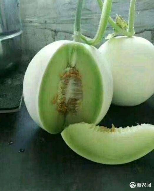 滑县 玉菇甜瓜，大量现货，长期供应