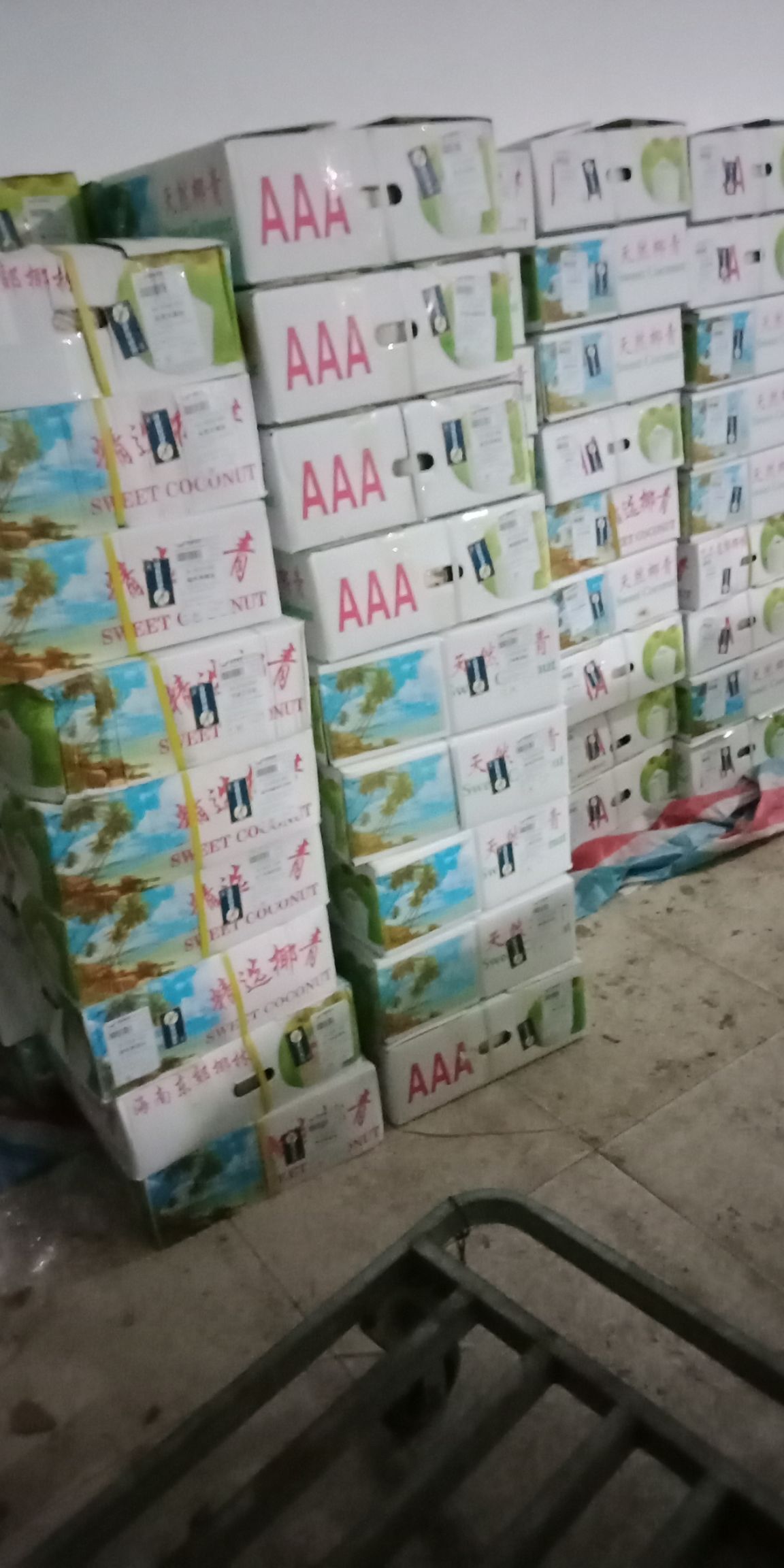 椰子  精选优质椰青果.9个装