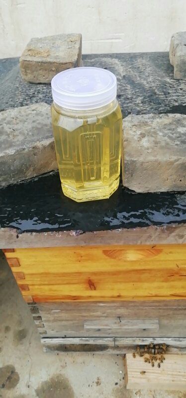 莱州市槐花蜜 塑料瓶装 2年 