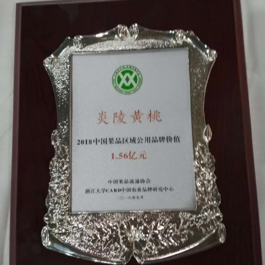 炎陵县炎陵黄桃
