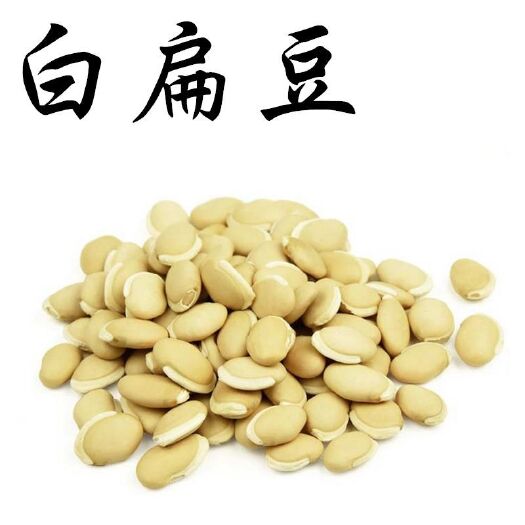 亳州干扁豆 白扁豆 货  含量高