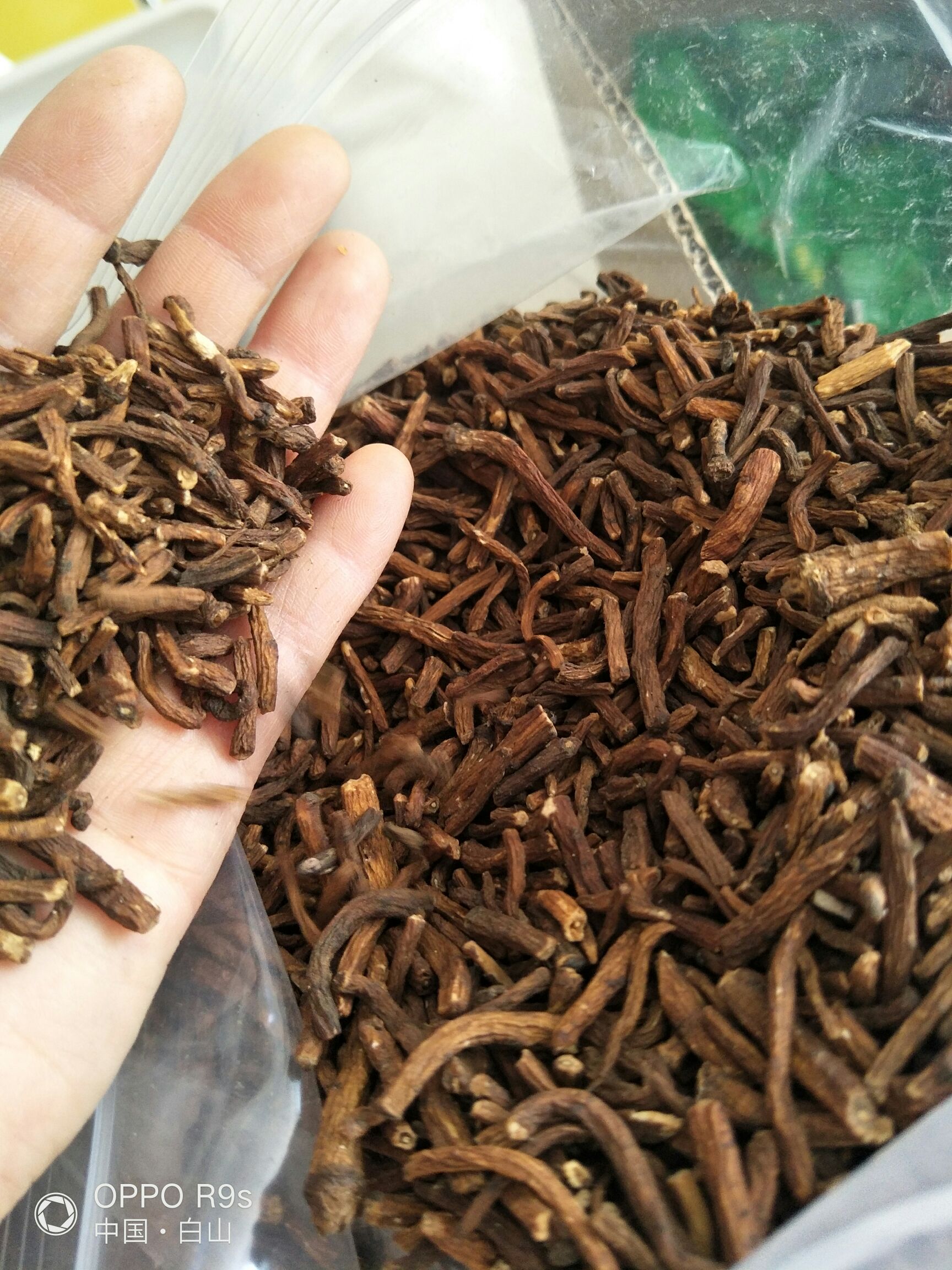 长白山野生蒲公英根熟根茶