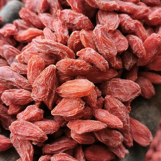 精河县 新疆精河枸杞头茬新货
