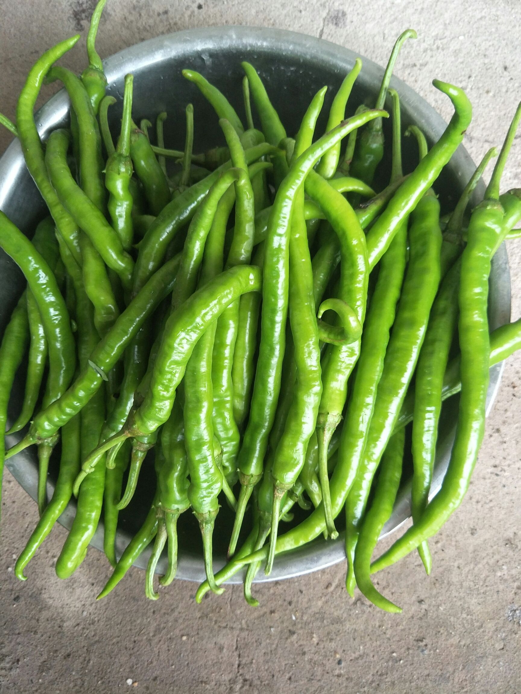 线椒 农村无公害纯绿色食品